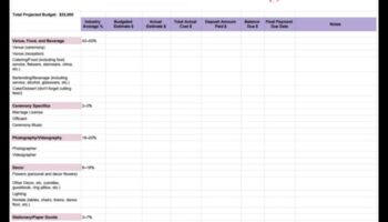 Decizii în dolari: planul bugetului pentru nuntă