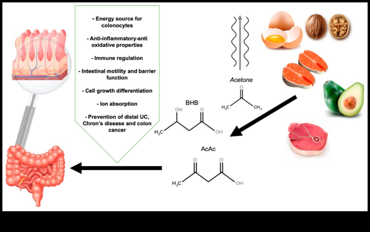 Keto și bunăstarea digestivă: o perspectivă cuprinzătoare