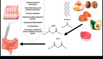 Keto și bunăstarea digestivă: o perspectivă cuprinzătoare