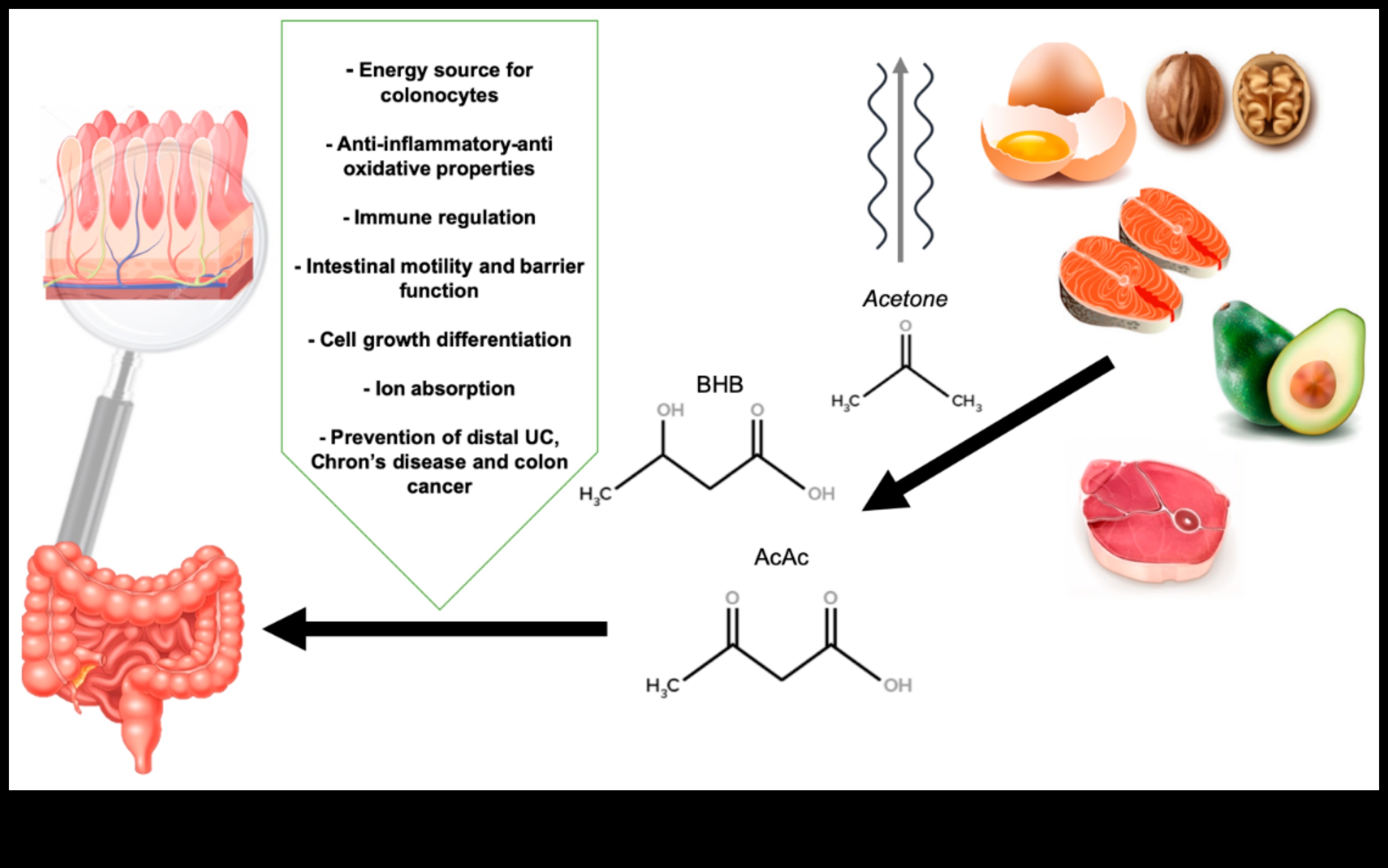 Keto și bunăstarea digestivă: o perspectivă cuprinzătoare