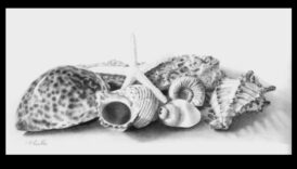 Farmecul atemporal: natură moartă în creion clasic