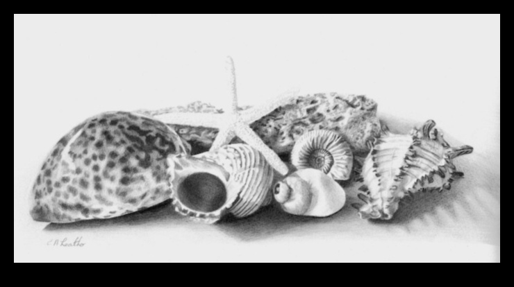 Farmecul atemporal: natură moartă în creion clasic