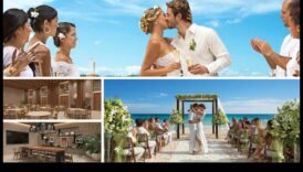 Fericirea eternă: Dezvăluirea ceremoniei tale de nuntă perfectă