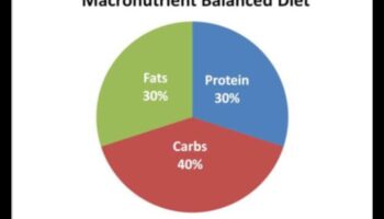 Defalcarea macronutrienților: un ghid pentru raporturi echilibrate