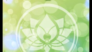 Remedieri rapide sau vindecare holistică? Rolul dietelor pe termen scurt